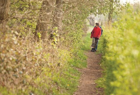 Wandelen over het Ansepad...