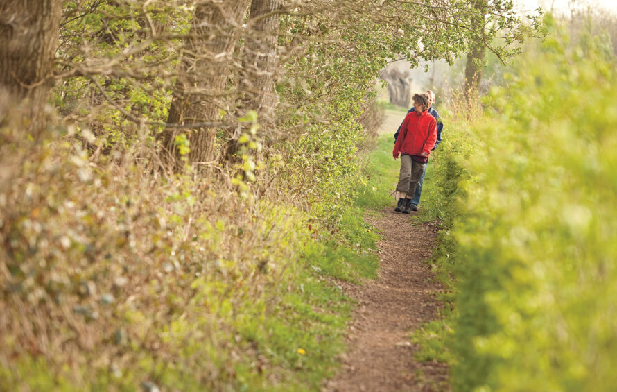 Wandelen over het Ansepad…