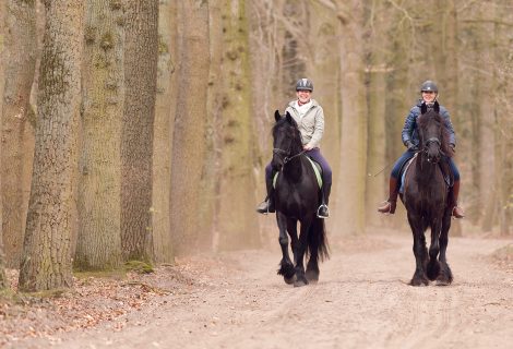 Paardrijden rond Heino en Lierderholthuis