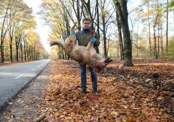 Het geweten van ecologisch Nederland heeft z’n natuurroots in Heino liggen