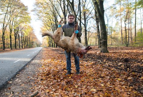 Het geweten van ecologisch Nederland heeft z’n natuurroots in Heino liggen