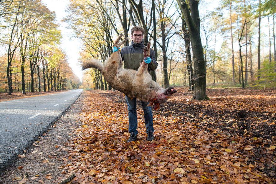 Het geweten van ecologisch Nederland heeft z’n natuurroots in Heino liggen