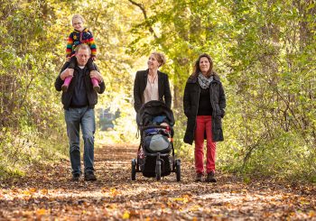 Bomenlanen, bos en boerenland