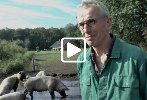 Biologisch voedsel wint aan populariteit