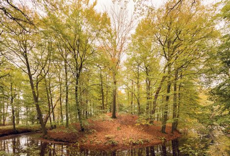 Wandelen rondom Heino: een lappendeken van landgoederen