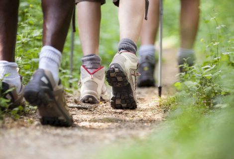 Laatste excursies over Rozendael en Alerdinck