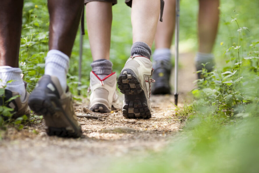 Blijf bewegen met de natuurwandelingen