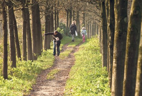 Wandelen over de zeedijk van Heino...