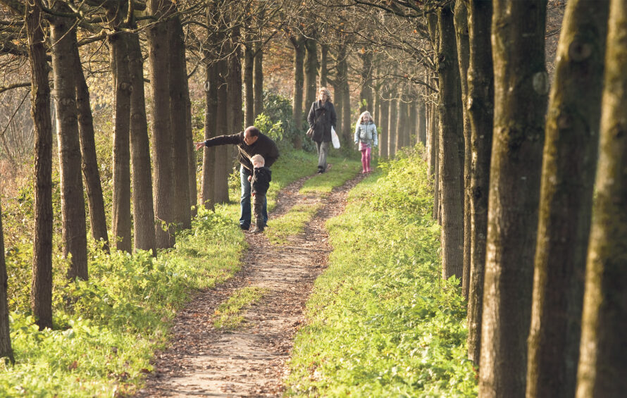 Wandelen over de zeedijk van Heino…