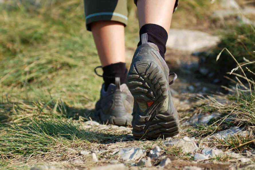 Wandeltochten in omgeving van Heino