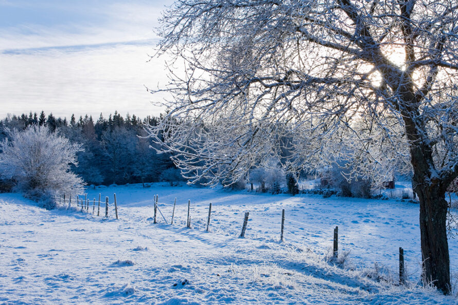 Biologisch Aanschuif-Warme-Winterbrunch