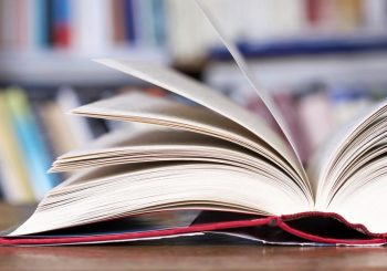 Vijfde boek van Ries Wink vanaf heden verkrijgbaar