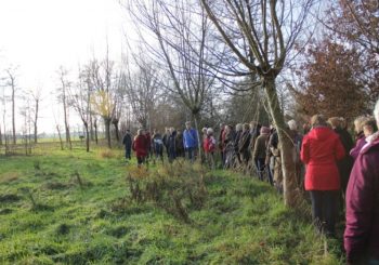 Natuurwandeling naar Landgoed Den Berg