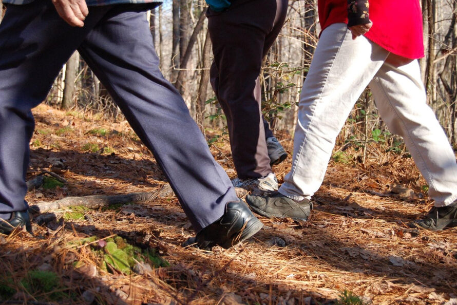 Vrijwilligers gezocht voor natuurwandeling met ouderen