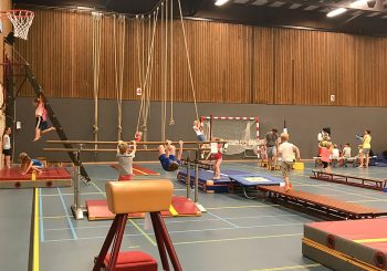 Spelen en bewegen festijn Heino groot succes