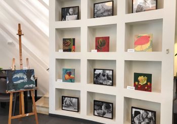 Veel belangstelling voor Heinose Kunstroute