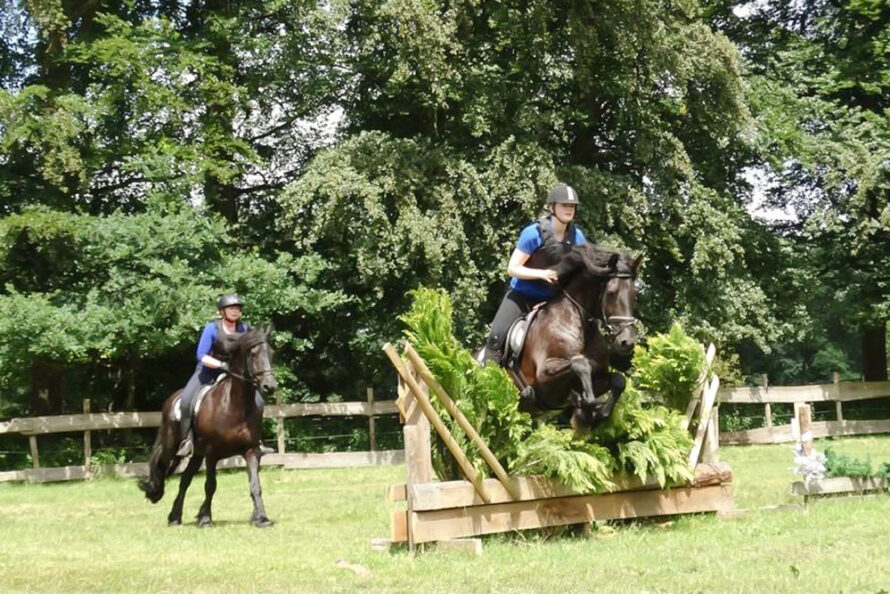 Crossweekend en open huis bij Stal ’t Reelaer