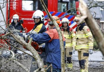 Boom tegen woning aan Woolthuisweg