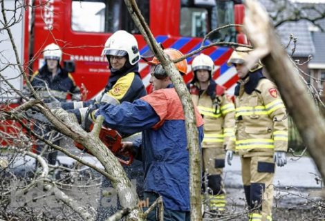 Boom tegen woning aan Woolthuisweg