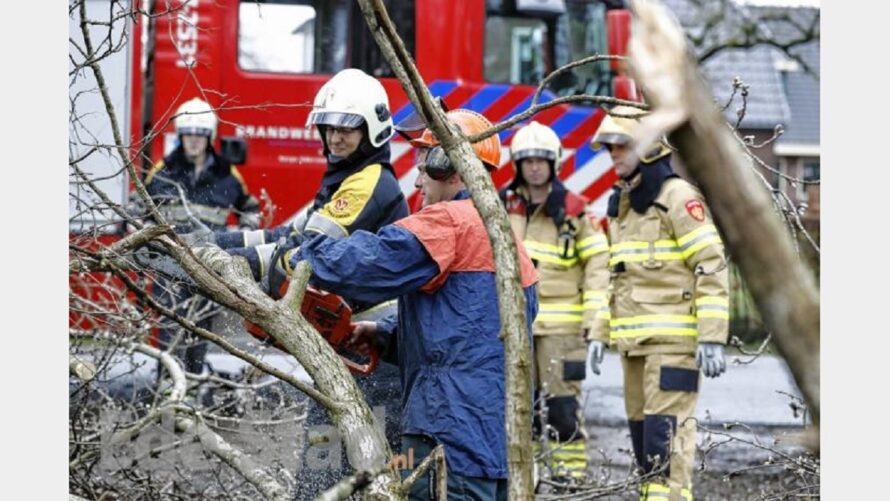 Boom tegen woning aan Woolthuisweg