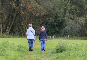 Maak kennis met wandelcoaching