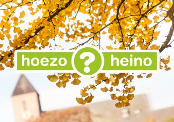 Altijd op de hoogte met hoezoheino.nl