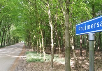 Geen slagbomen voor Pruimersallee