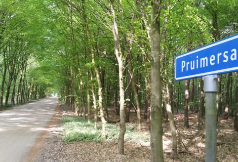 Geen slagbomen voor Pruimersallee