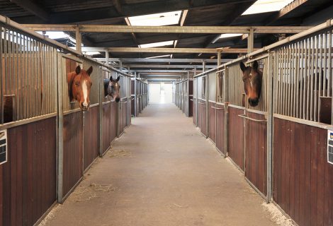 Nieuw in Heino: MB Stables