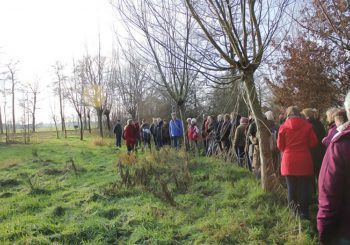 Natuurwandeling Dorpshuis vindt plaats in Ommen