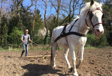 Spikkel aan het werk bij Supermarkt in het Bos