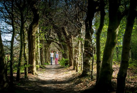 Op zoek naar de metaforen van het leven met wandelcoach Marian Lugtenberg