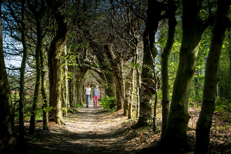 Op zoek naar de metaforen van het leven met wandelcoach Marian Lugtenberg