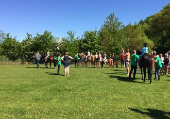 Ponyritjes op terrein van Camping Heino