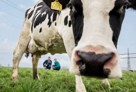 Erve Slendebroek in de race voor Smaakmaker Overijssel