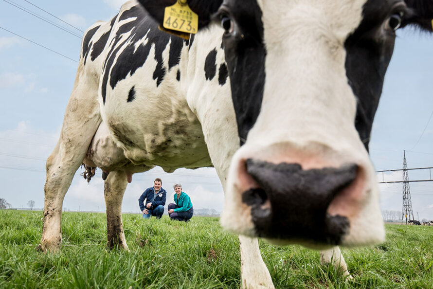 Erve Slendebroek in de race voor Smaakmaker Overijssel