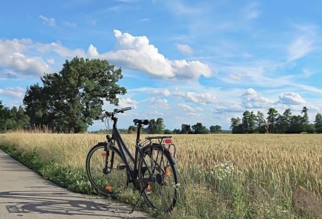 Dijkentocht vanuit Dorpshuus Heino