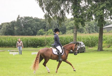 Paardensportspektakel rondom de Berkendijk