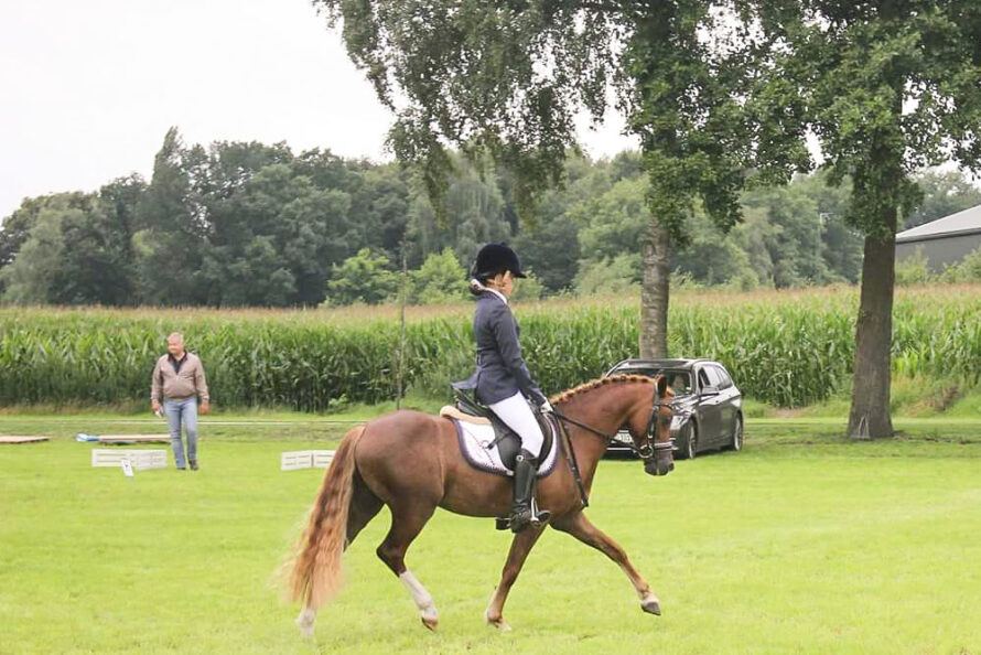 Paardensportspektakel rondom de Berkendijk