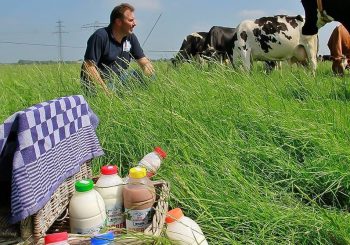 Erve Slendebroek in de prijzen bij boerenzuivelverkiezing