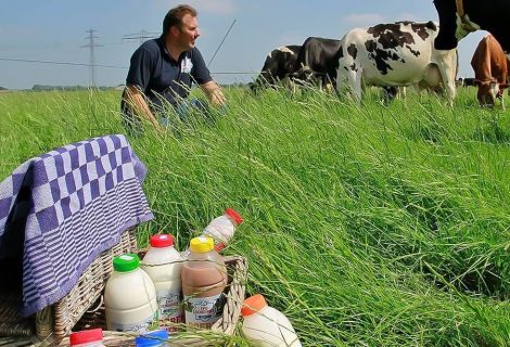 Erve Slendebroek in de prijzen bij boerenzuivelverkiezing