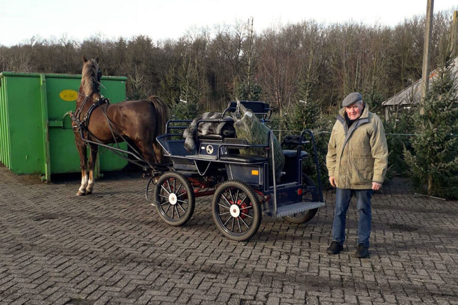 Met paard en koets naar Heino voor een kerstboom