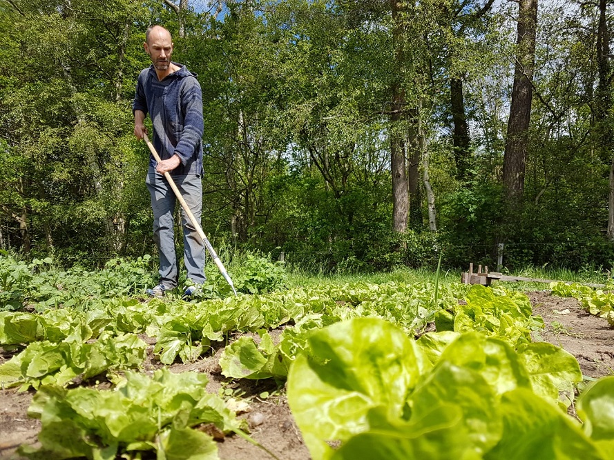 Zelf oogsten in de Tuin van Teun