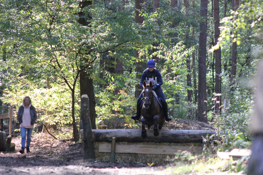 Oefencross voor pony’s en paarden