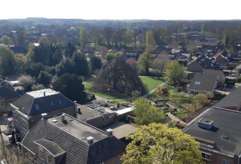 Treurbeuk in Hof van Rakhorst in race voor Boom van het Jaar