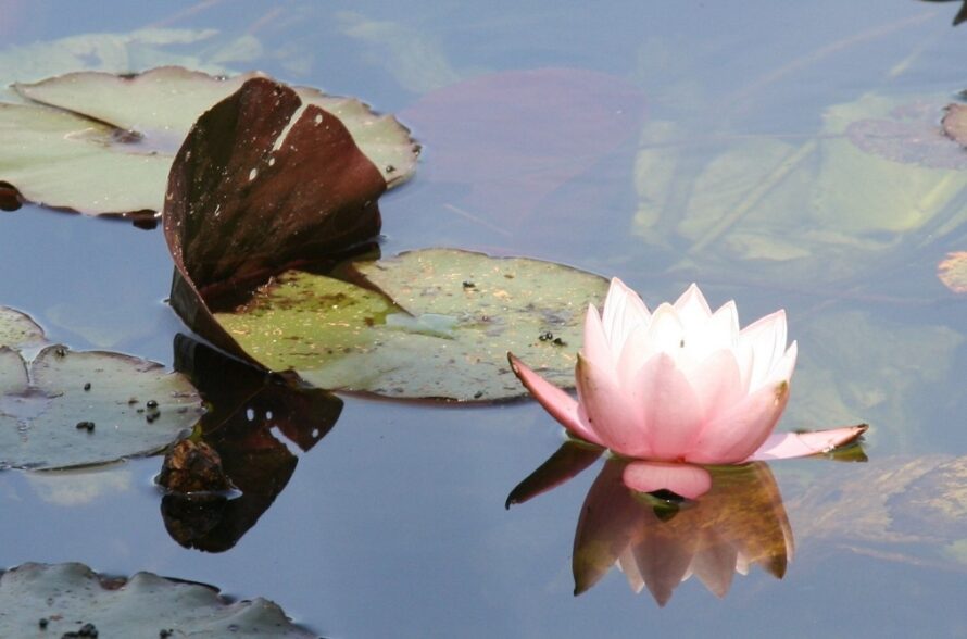 Onthaasten en “ont-moeten” met Meditatiegroep Heino