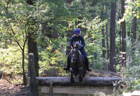 Paardensportspektakel rondom de Berkendijk