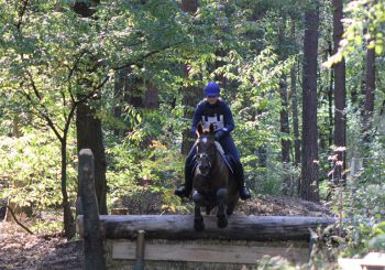 Paardensportspektakel rondom de Berkendijk