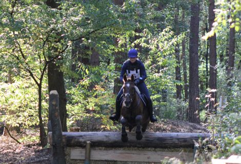 Paardensportspektakel rondom de Berkendijk