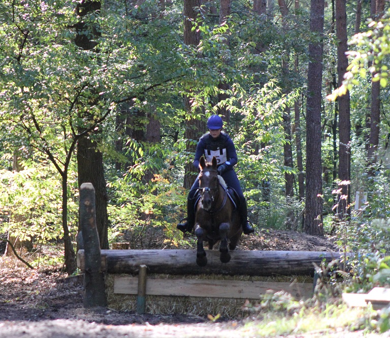 Paardensportspektakel rondom de Berkendijk